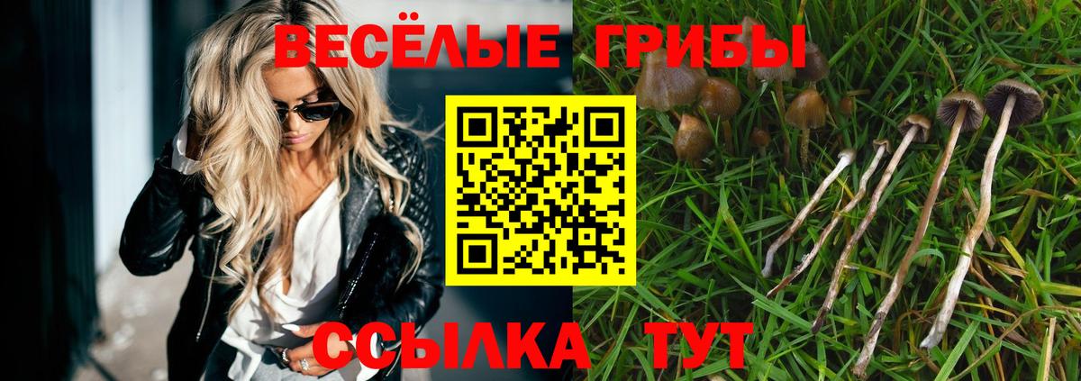 Псилоцибиновые грибы Cubensis  Вход с VPN  Муравленко 